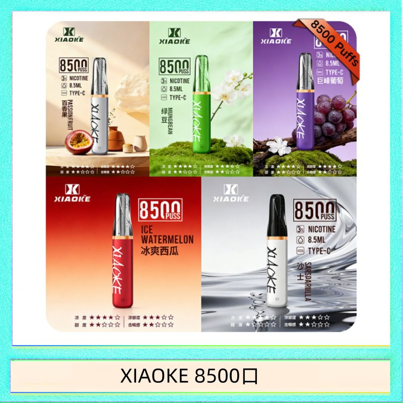 梟客XIAOKE一次性電子菸拋棄式8500口
